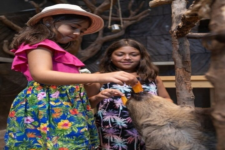 Immerse yourself in a lush tropical forest backdrop where children joyfully interact with wildlife creating unforgettable memories amid a stunning array of plants and animals.